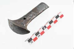 Foto von Eisenortband (NHMW-PRAE-025978)